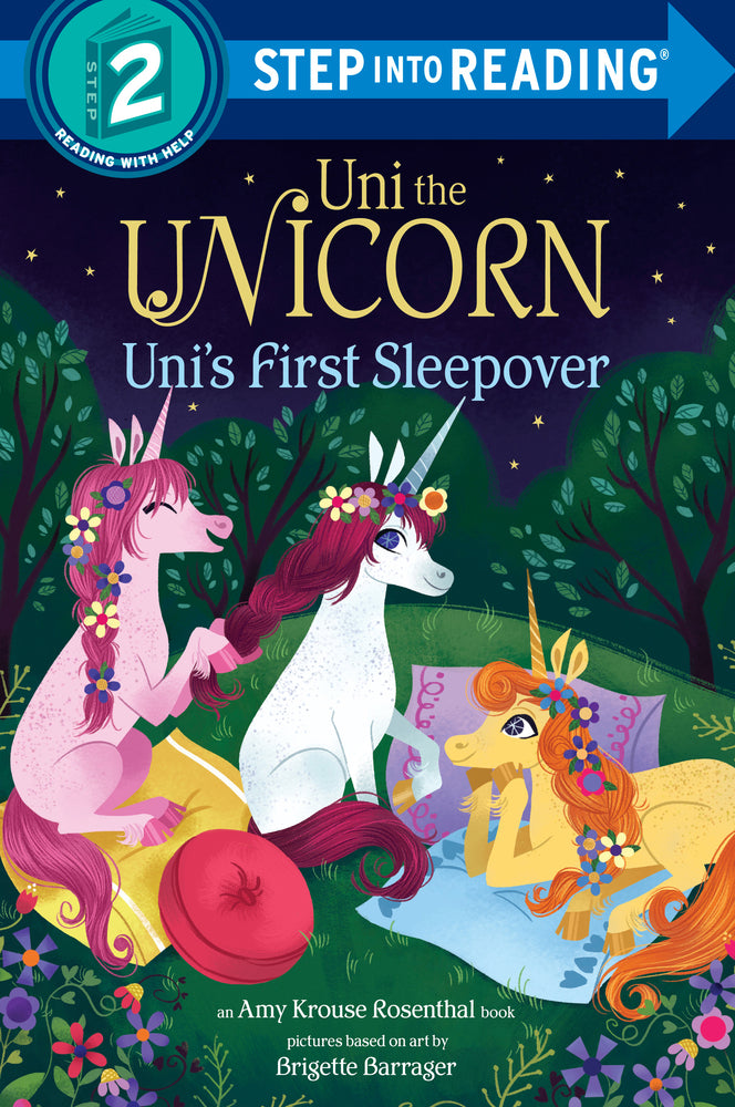 Unicorn Adventure Book Gift Set